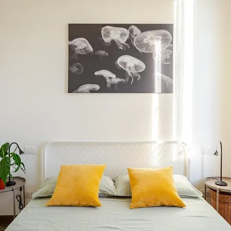 Splendido Trilocale Di Design